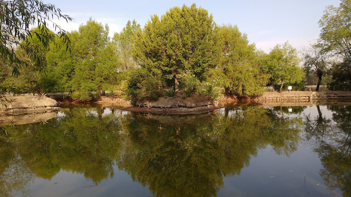 Laguna Suites Puebla